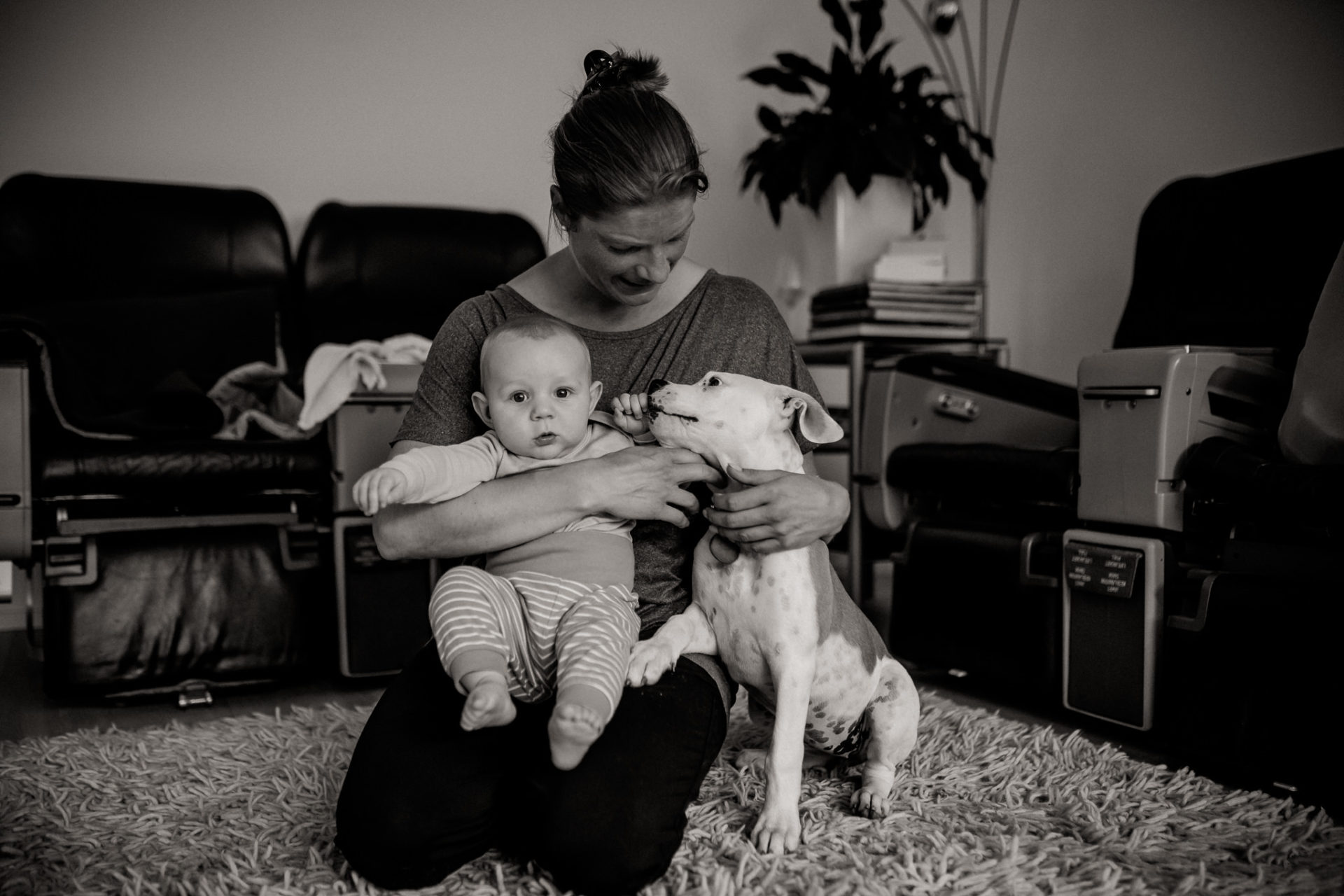 hundefotograf stuttgart-haustierportraits-ungestellte tierfotos-newborn homestory mit welpe-familienhund-welpentraining-hundeportrait