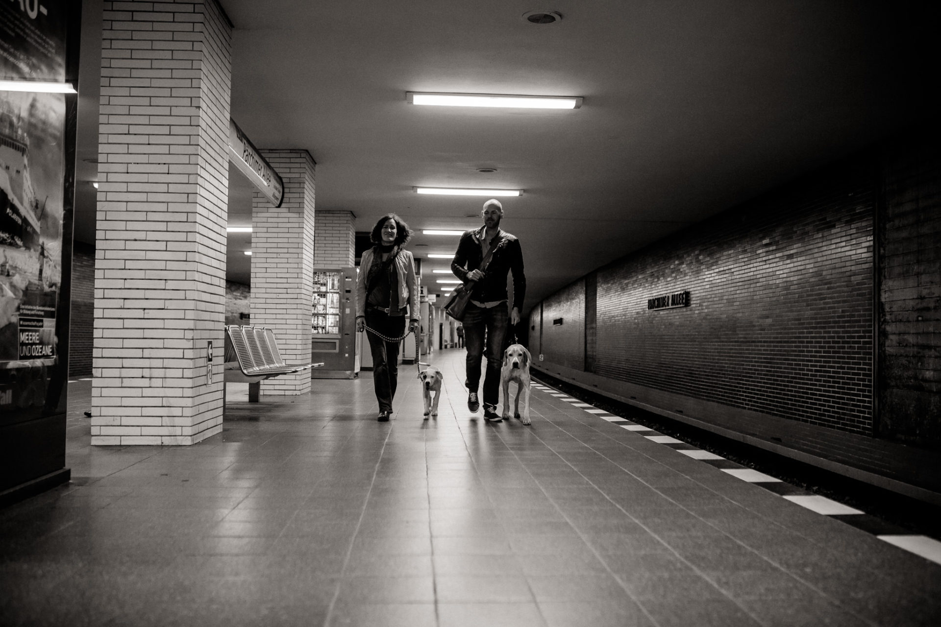 großstadteben mit welpe-familienfotograf berlin-american bulldog welpe-hundefotograf-hunde berliner ubahn
