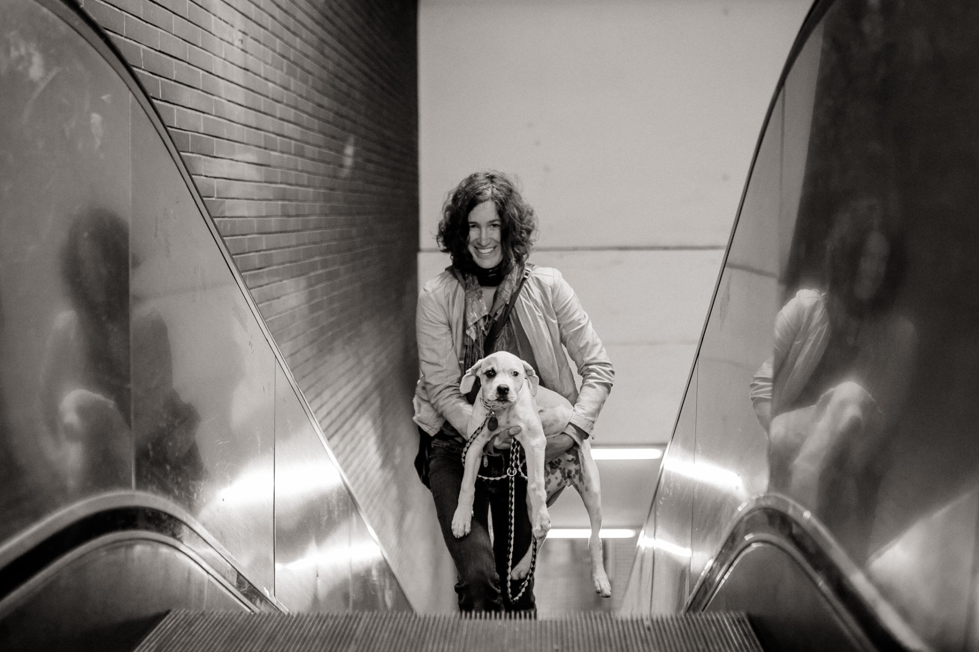 großstadteben mit welpe-familienfotograf berlin-american bulldog welpe-hundefotograf-hunde berliner ubahn