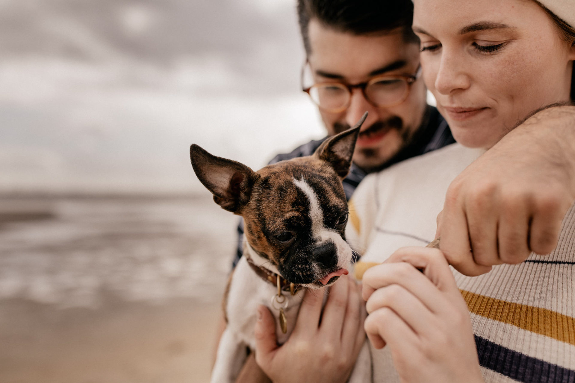 ungestellte dokumentarische kreative hochzeitsbilder-hochzeitsfotograf Australien-St Kilda Beach spaziergang-hunde in australien-boston terrier Welpe