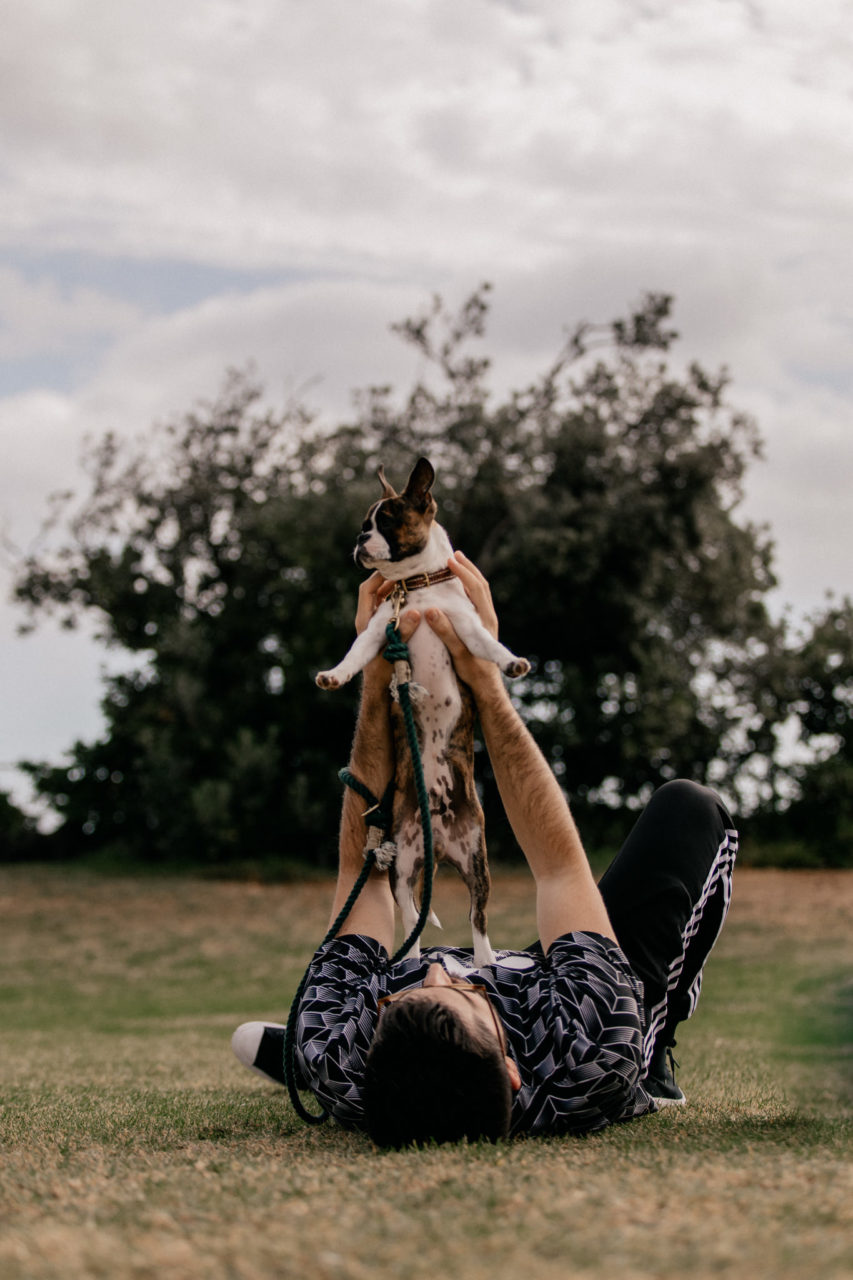 ungestellte dokumentarische kreative hochzeitsbilder-hochzeitsfotograf Australien-St Kilda Beach spaziergang-hunde in australien-boston terrier Welpe